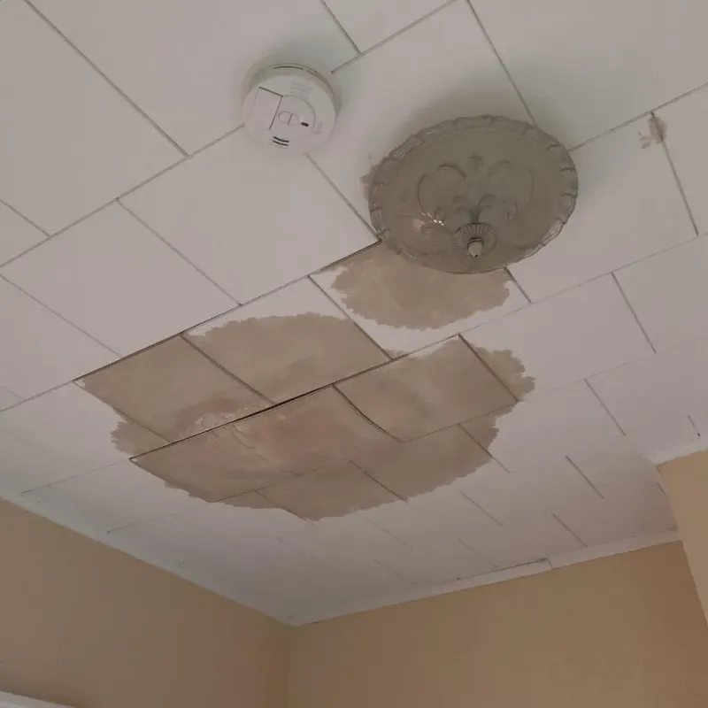 Ceiling Water Damage Repair in Hebron, OH