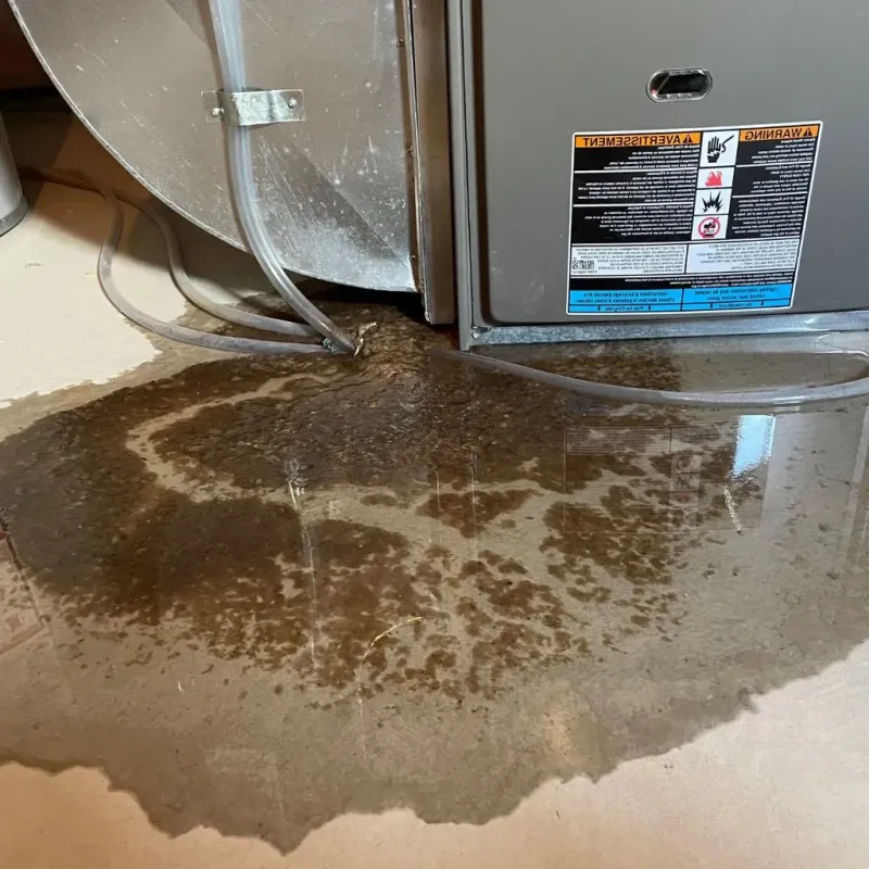 Pipe Burst and Leak Restoration in Hebron, OH