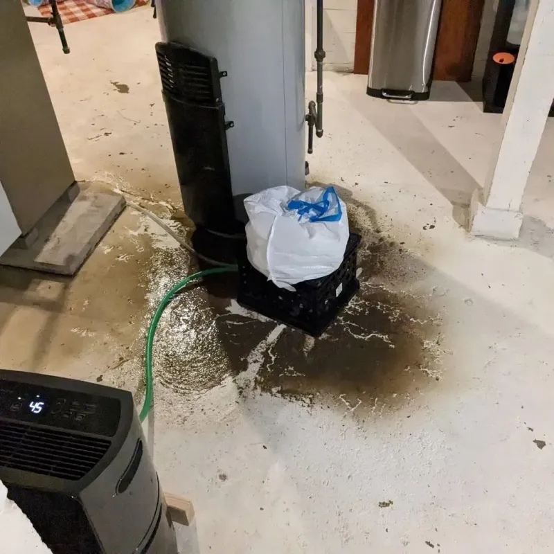 Sewage Backup Cleanup Service in Hebron, OH